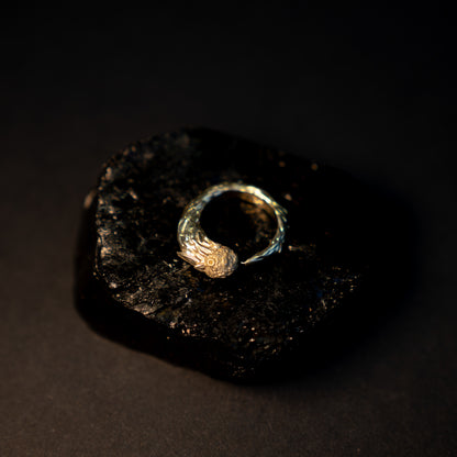 Meteor Ring